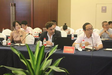 中信国安北海生态旅游项目设计中期发布会成功召开，擘画文旅融合新蓝图