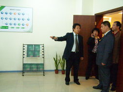 成都市区县旅游局负责人赴旅游规划工厂考察 共商旅游项目开发新路径